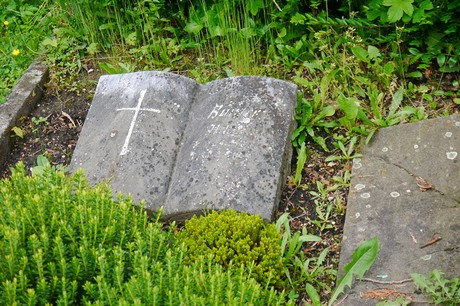 Witterschlick