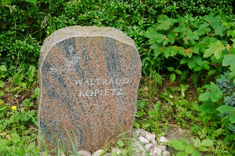 Witterschlick