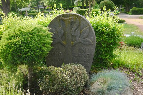 Witterschlick