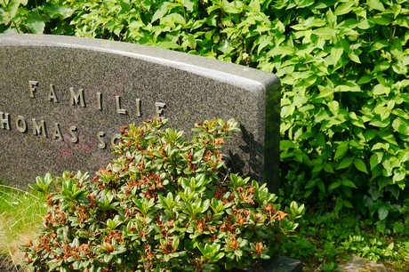 Witterschlick