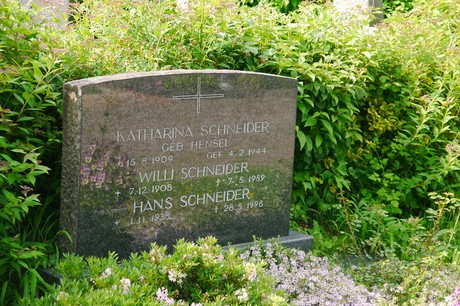 Witterschlick