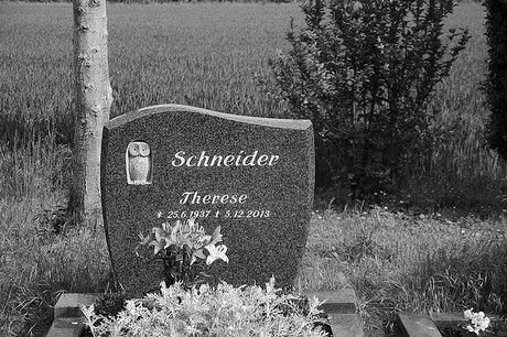 Witterschlick