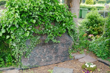 Witterschlick