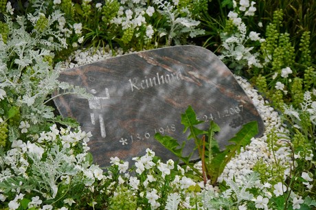 Witterschlick