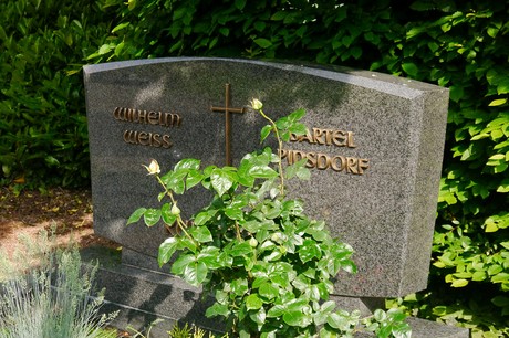 Witterschlick