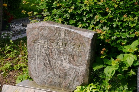 Witterschlick