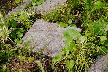 Witterschlick