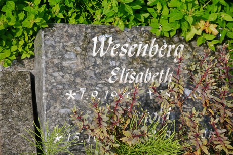 Witterschlick