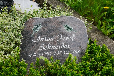 Witterschlick