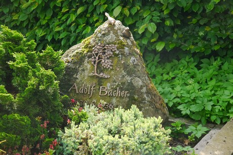 Witterschlick
