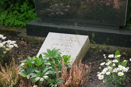 Witterschlick