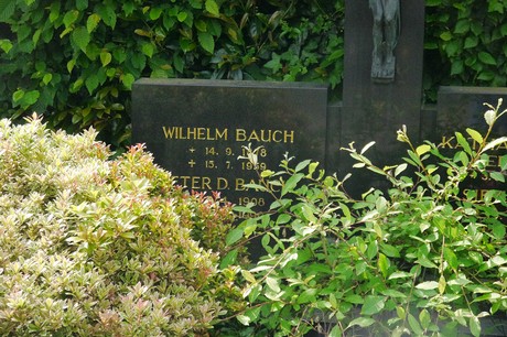 Witterschlick
