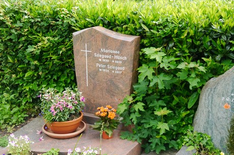 Witterschlick
