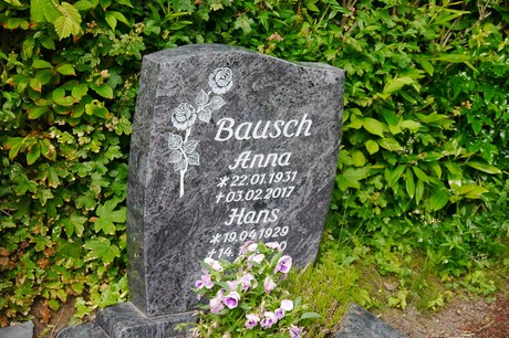 Witterschlick