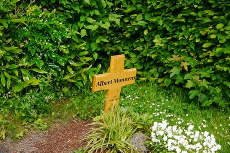 Witterschlick