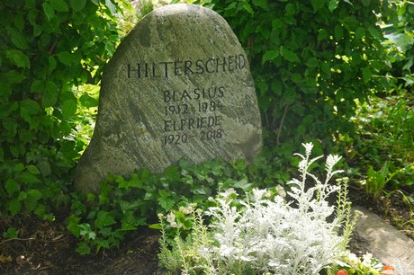 Witterschlick