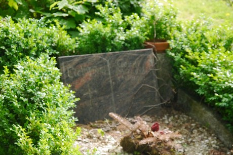 Witterschlick
