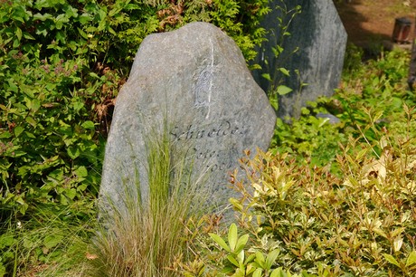Witterschlick