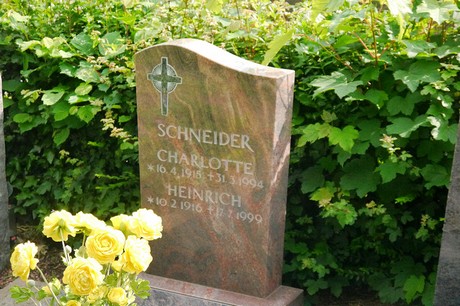 Witterschlick