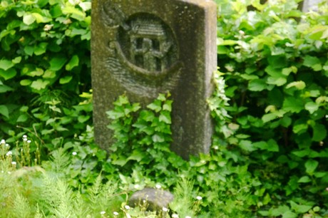 Witterschlick
