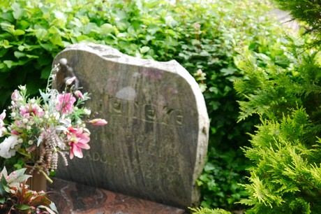 Witterschlick