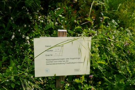 Witterschlick