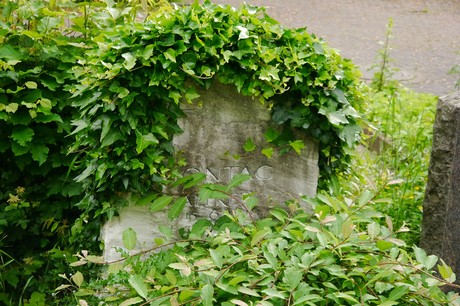 Witterschlick