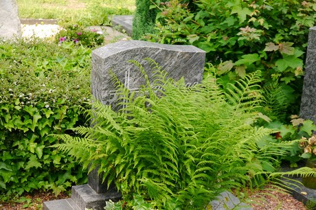 Witterschlick