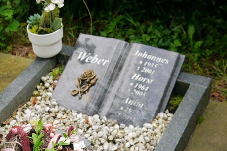 Witterschlick