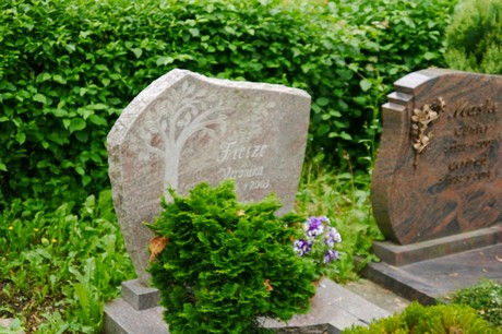 Witterschlick