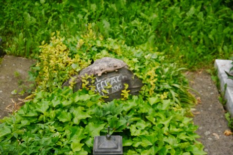 Witterschlick