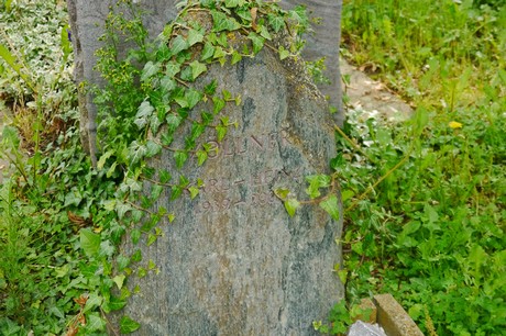 Witterschlick