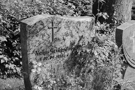 Witterschlick