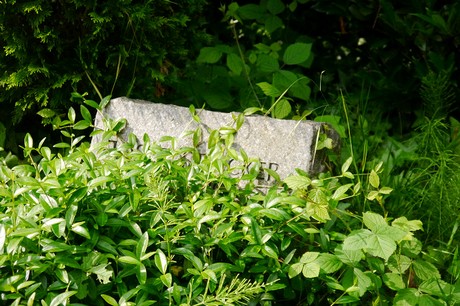 Witterschlick