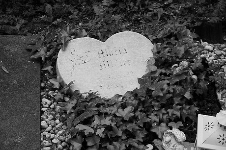 Witterschlick