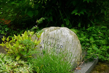 Witterschlick