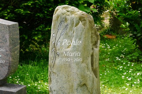 Witterschlick
