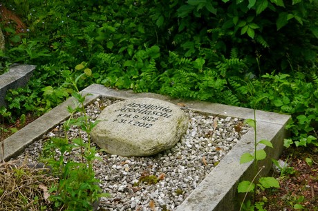 Witterschlick