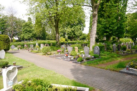 Witterschlick