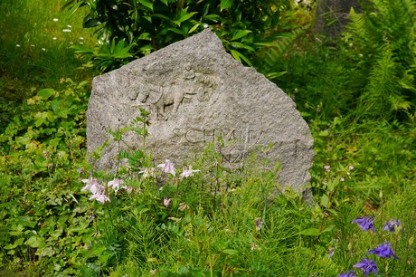 Witterschlick