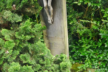Witterschlick