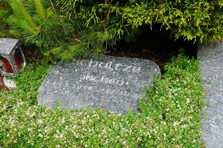 Witterschlick