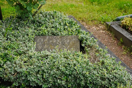 Witterschlick