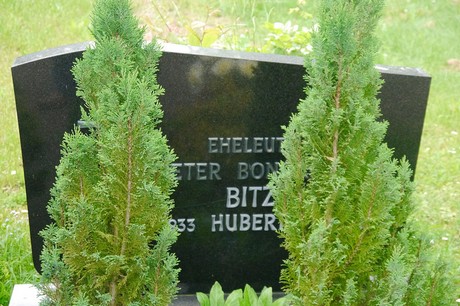 Witterschlick