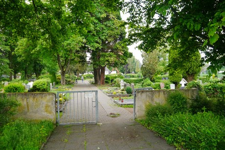 Witterschlick