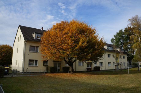 Wahnheide