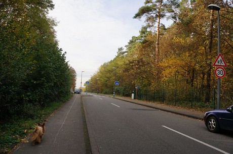 Wahnheide