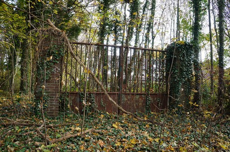 Wahnheide