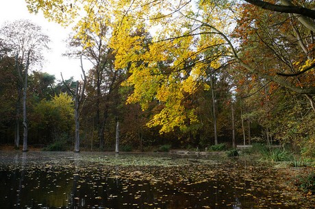 Wahnheide