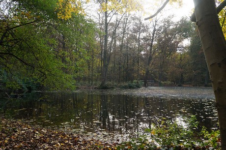 Wahnheide